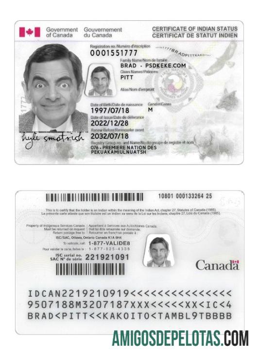 Exemplo de cartão de identificação de status indiano do Canadá